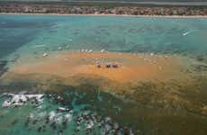 Areia Vermelha Island Catamaran Trip
