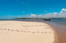 Excursión a Barra de Mamanguape