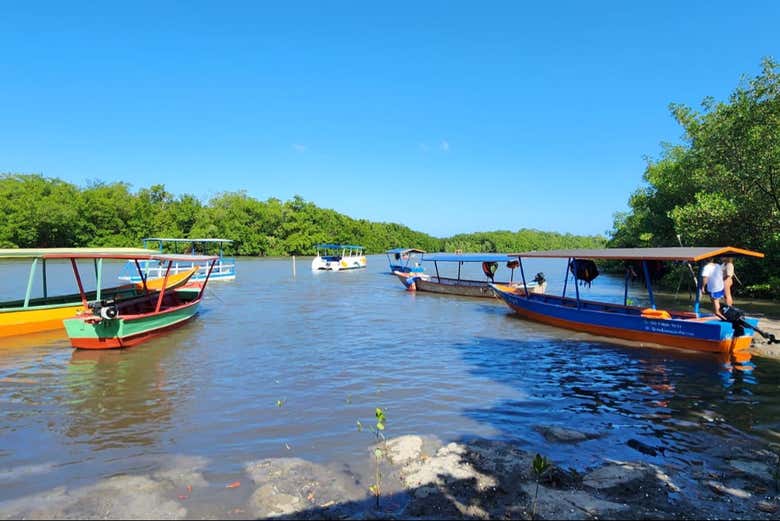Dias ensolarados nos esperam
