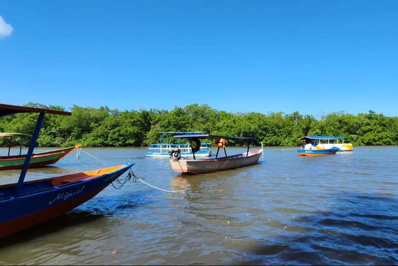 Barra de Mamanguape