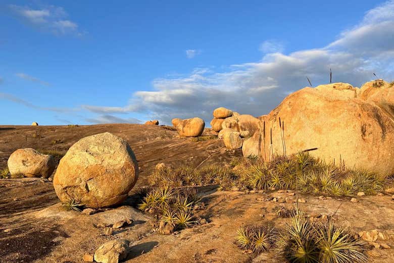 Parecerá que estamos recorriendo el desierto