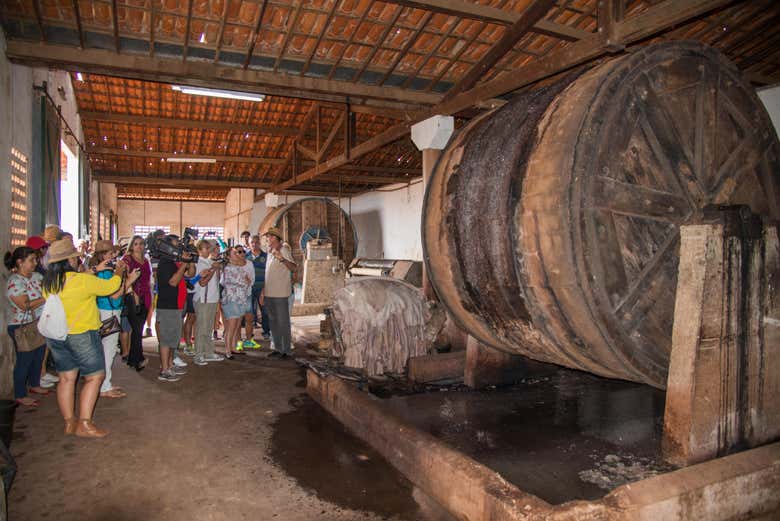 Grupo visitando Cabaceiras