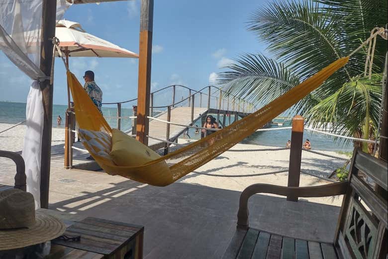 Hammocks at the beach club