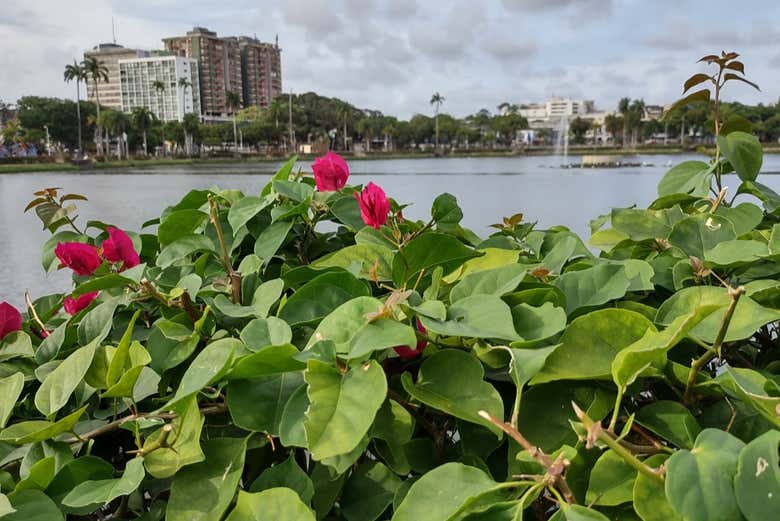 Lagoa do Parque Solon de João Pessoa