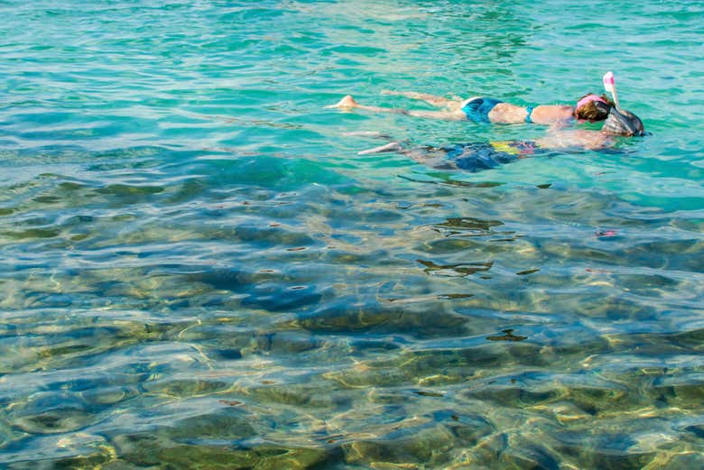 Praticando snorkel