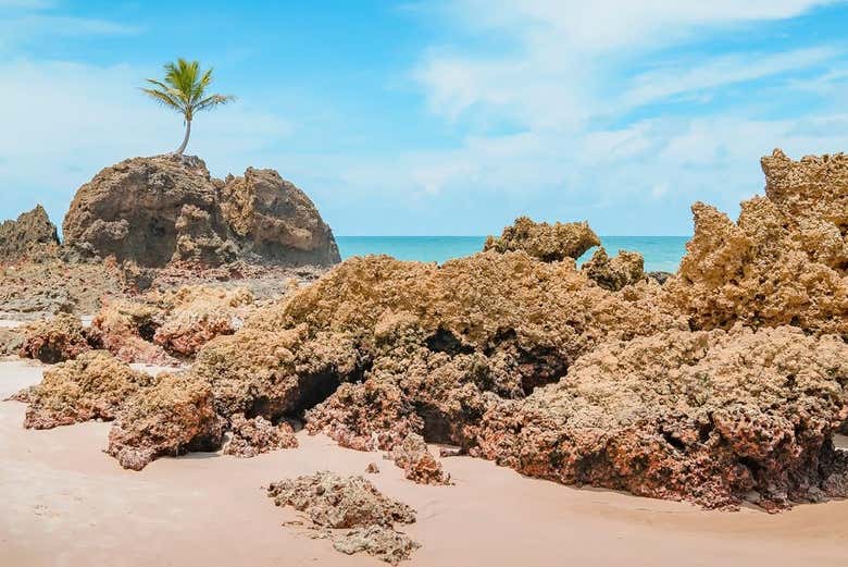 Paisajes de la playa da Tambada