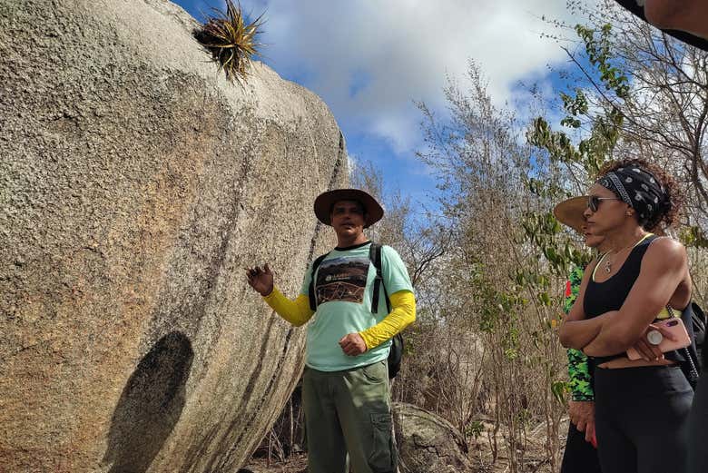 See the native flora and fauna