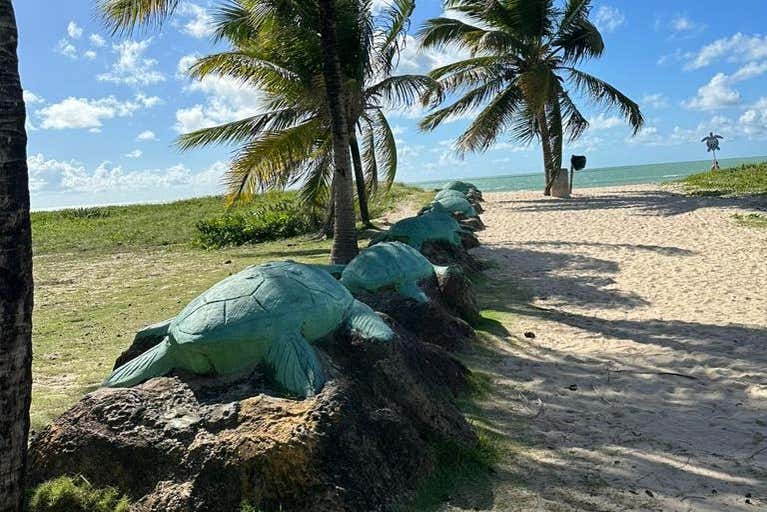 Esculturas de tortugas