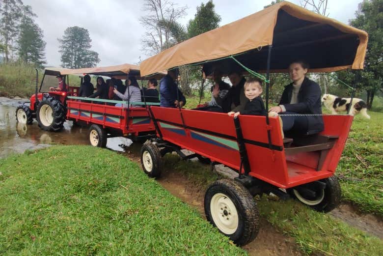 Disfrutando de un divertido paseo en tractor 