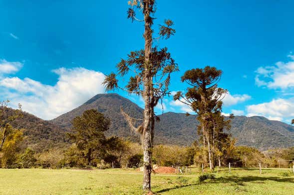 Hiking Tour around Serra Dona Fracisca and Canela Preta Waterfall