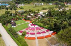 Tour rural por Joinville