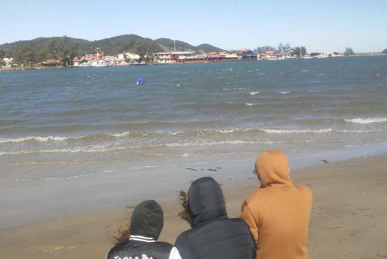 Avistando os golfinhos-pescadores