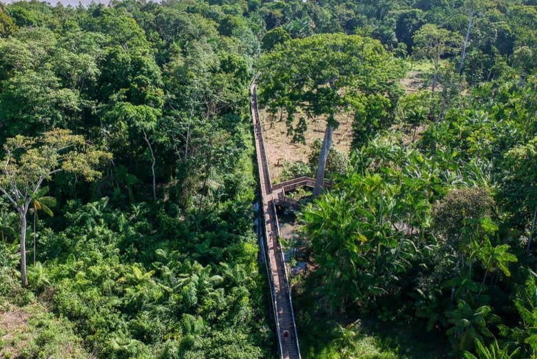 Natureza da Ilha de Santana