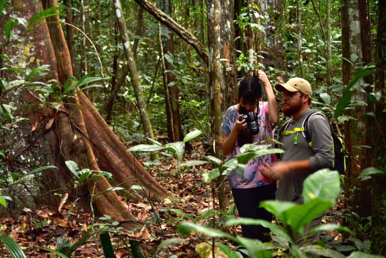Discovering the native flora and fauna