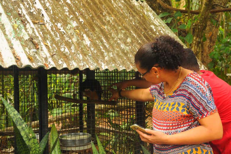 Interagindo com os animais