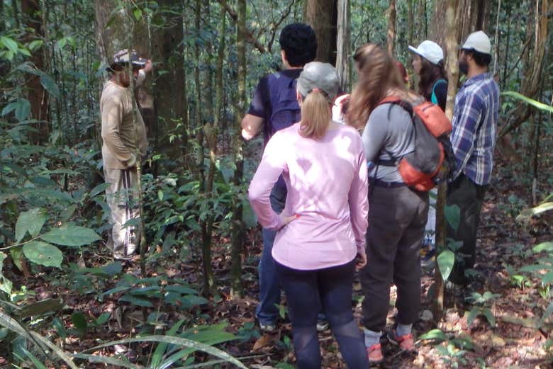 Escutando as explicações do guia