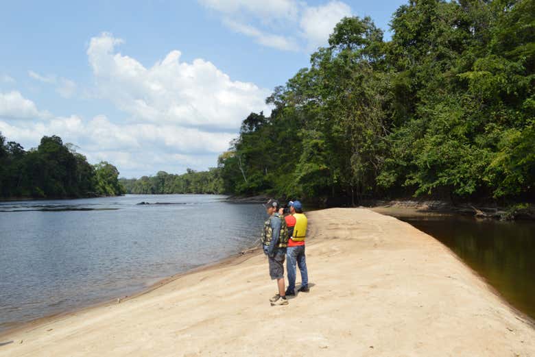 Tumucumaque Mountains National Park