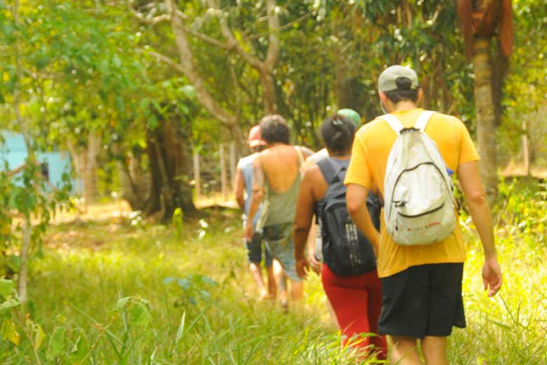 Durante a trilha das Samaúmas