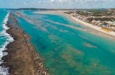 Escursione privata a Barra de São Miguel + Praia do Francês e Gunga