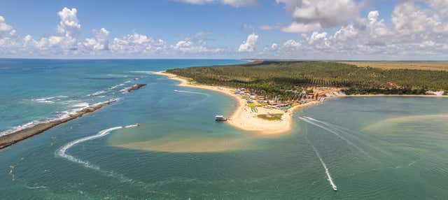 Excursão à praia do Gunga de ônibus