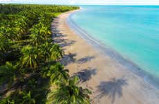 Day Trip to Ipioca Beach