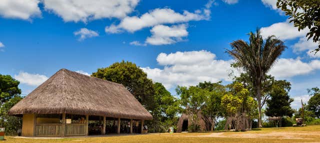 Excursão ao Quilombo dos Palmares