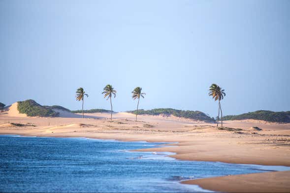 Excursão à foz do rio São Francisco