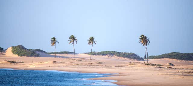 Excursão à foz do rio São Francisco