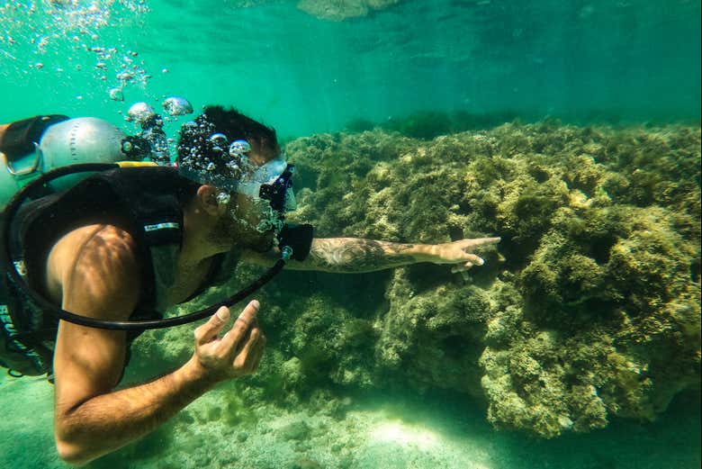 Buceo