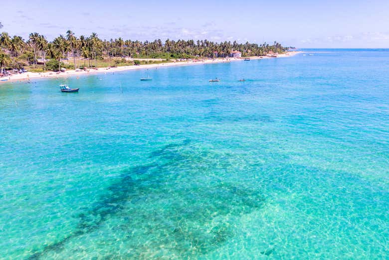 Paisagem ao nordeste de Maceió
