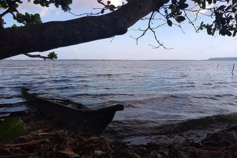 Mundaú-Manguaba Estuary