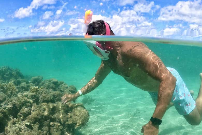 Explorando el fondo marino