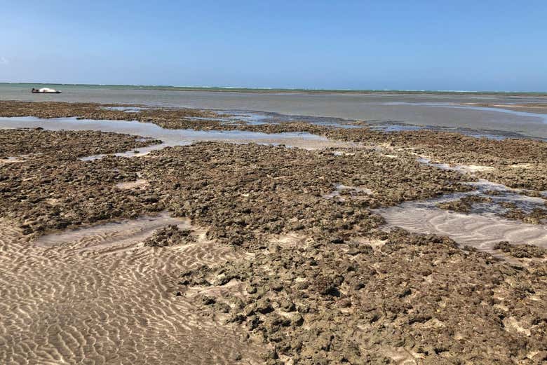 Maré baixa na praia