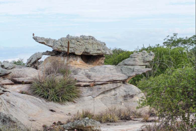 Landscapes of Delmiro Gouveia