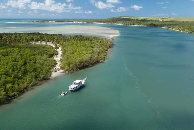 Paisagem natural brasileira