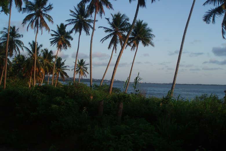 Landscapes of Lake Mundaú