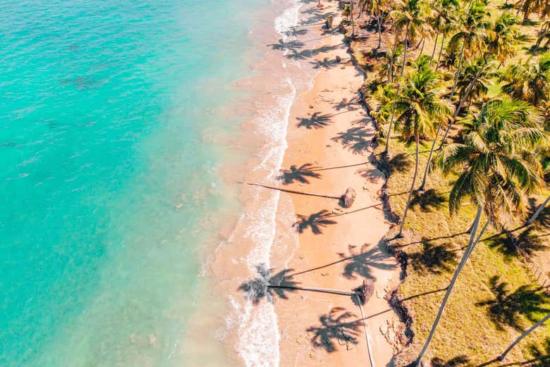 Paisagens da praia de Ipioca
