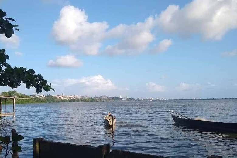 Landscapes of the estuarine complex