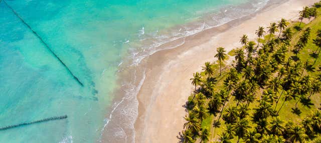 Excursão privada ao Mirante da Sereia, praia de Ipioca e Paripueira