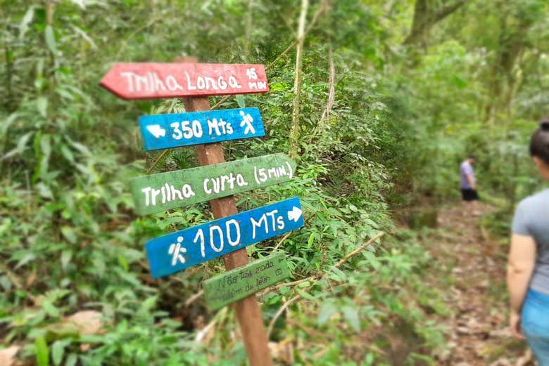 Some of the mountain trails