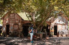 Tour pelo Sítio Cultural Museu da Estância