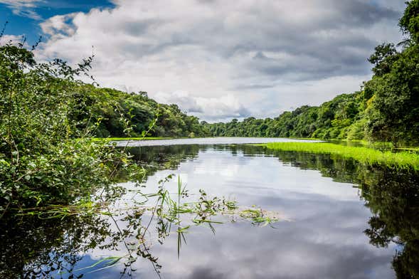Excursión a Novo Airão y Parque Nacional Anavilhanas