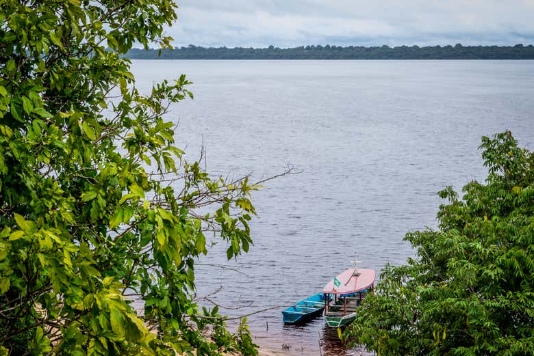 Navegaremos por el Parque Nacional Anavilhanas
