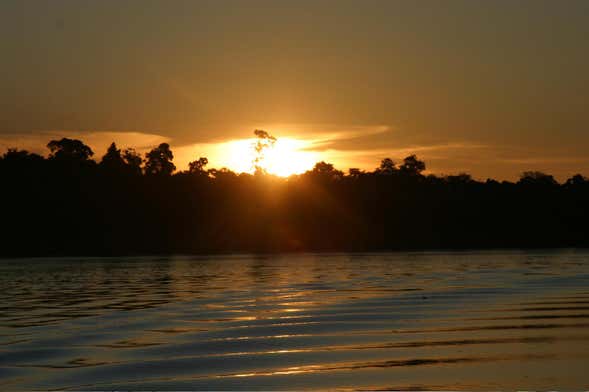 Paseo en barco al atardecer por el río Solimões