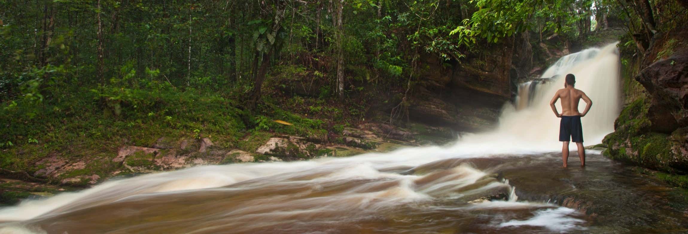 Excursiones de un día en Manaos