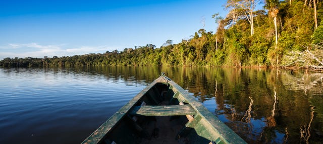Excursão à floresta amazônica