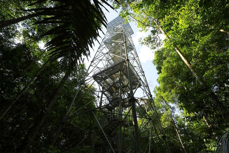 La altura de la torre de observación