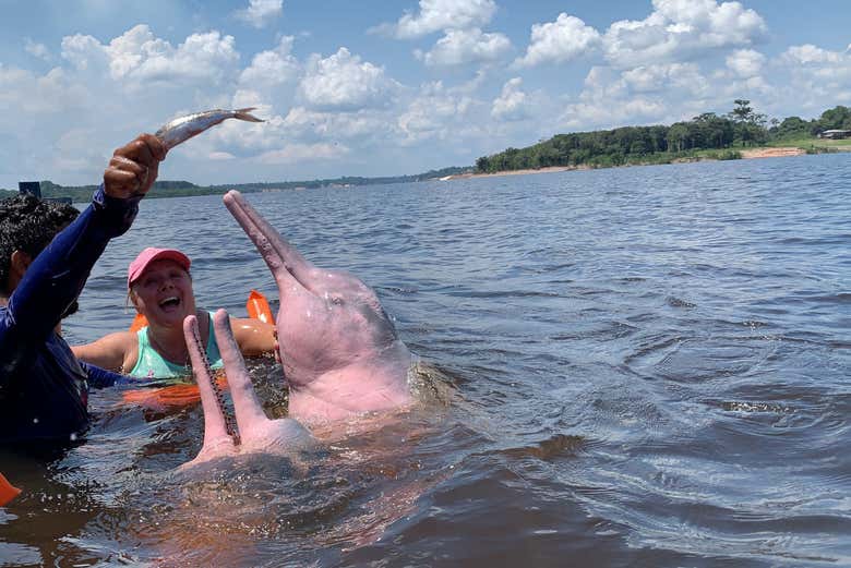 Taking a dip with the pink dolphins