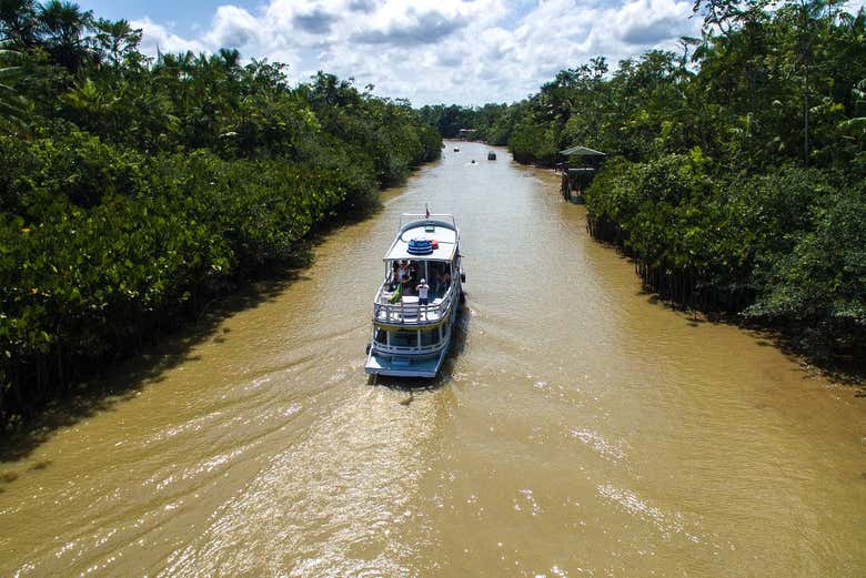 Cruise between Manaus and Belem along the Amazon river