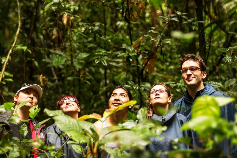 Exploration de la forêt amazonienne